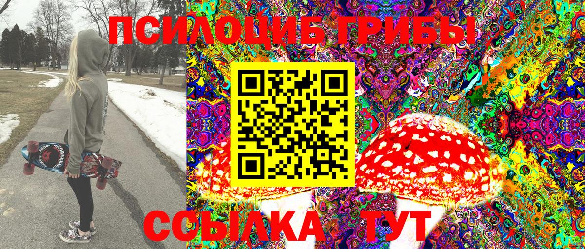 Галлюциногенные грибы Psilocybine cubensis Сунжа