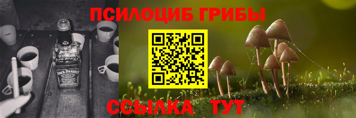Сунжа  Псилоцибиновые грибы MAGIC MUSHROOMS  Псилоцибиновые грибы MAGIC MUSHROOMS  Вход с VPN 